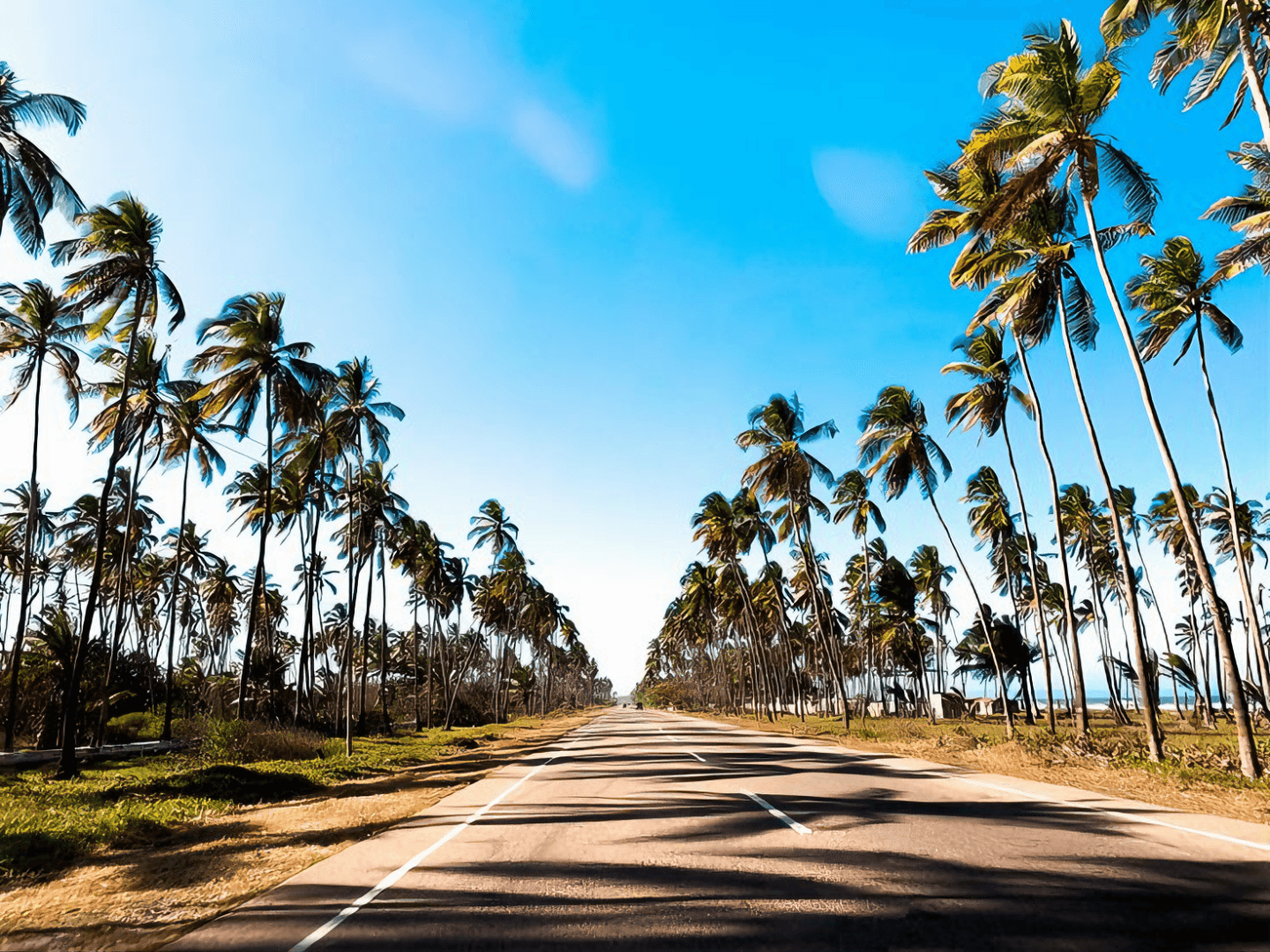 Viajes — preguntas frecuentes